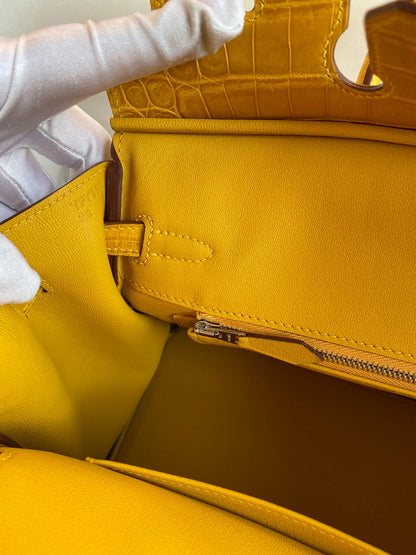 Birkin 25 Togo Leather & Crocodile Leather Bag